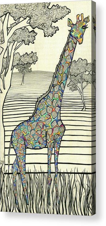 Giraffe Acrylic Print featuring the drawing Reaching by Darcy Lee Saxton