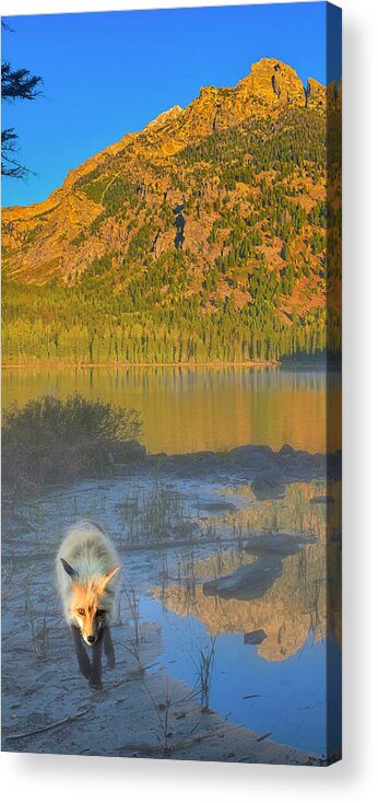 Taggart Lake Acrylic Print featuring the photograph Taggart Lake Triptych Left Panel by Greg Norrell