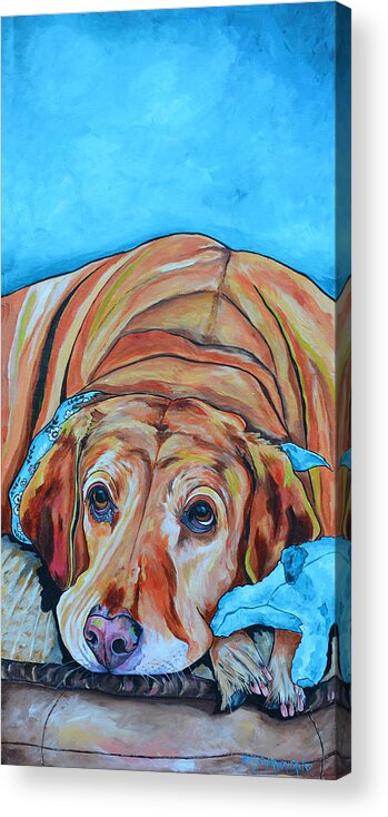 Yellow Lab Acrylic Print featuring the painting Yellow by Patti Schermerhorn