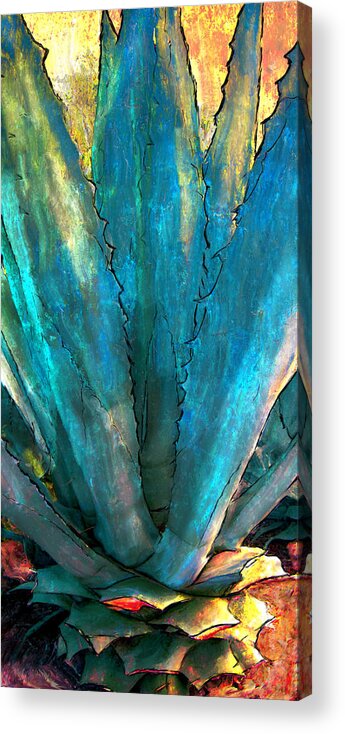 Yucca Acrylic Print featuring the digital art Yucca by Ken Taylor