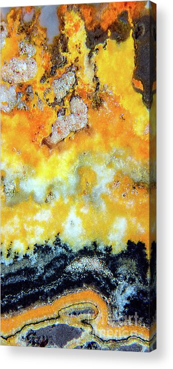 Fine Art Photography Acrylic Print featuring the photograph Bumblebee Jasper by John Strong