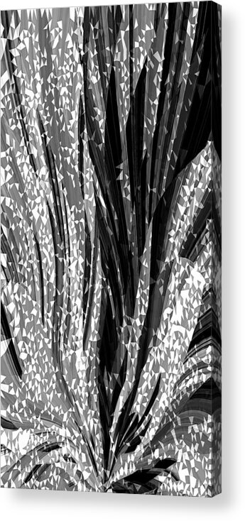 Black Acrylic Print featuring the digital art Crystal Floral Black Opposite by David Manlove