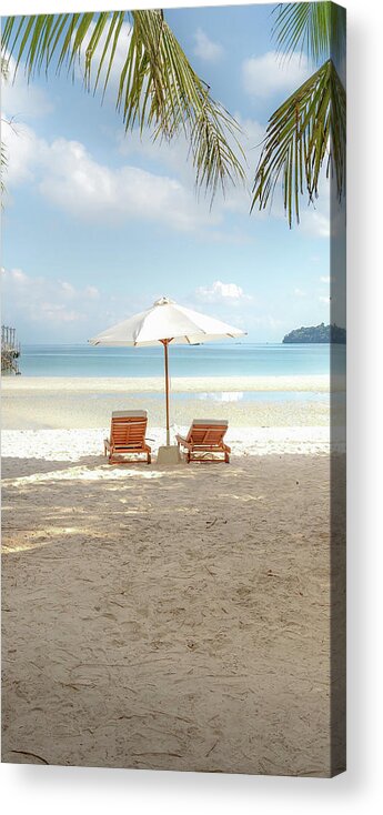 Triptych Acrylic Print featuring the photograph Deckchairs Under Palms #2 Triptych by David Wilkins