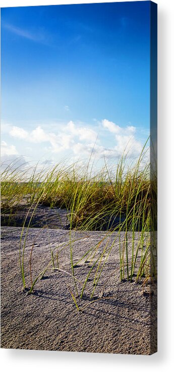 Clouds Acrylic Print featuring the photograph Golden Dune Grasses I by Debra and Dave Vanderlaan
