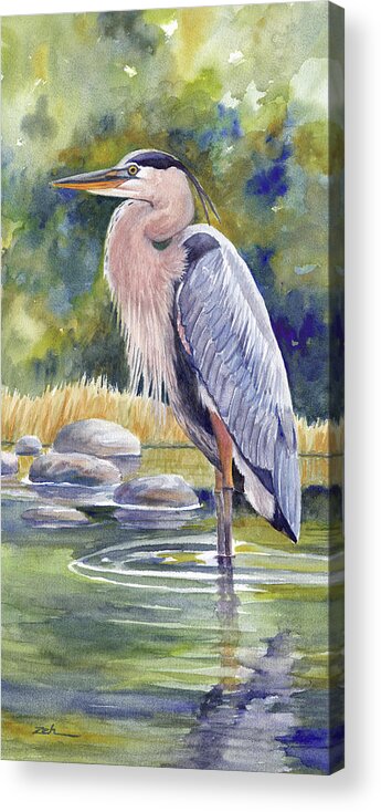 Great Blue Heron Acrylic Print featuring the painting Great Blue Heron in a Stream I by Janet Zeh