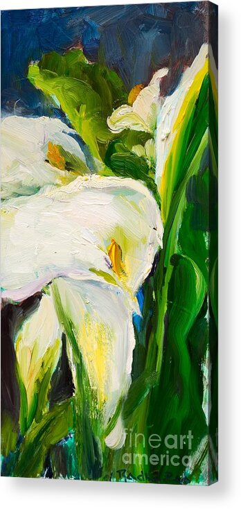 White Flowers Acrylic Print featuring the painting Showy White Calla Lilies by Radha Rao