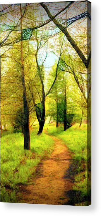 Carolina Acrylic Print featuring the photograph The Beautiful Forest Trail in Abstract in Middle Vertical Tripty by Debra and Dave Vanderlaan