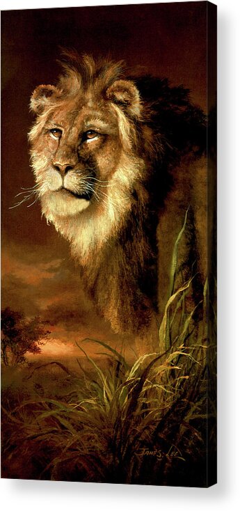 Lion Acrylic Print featuring the painting The Pride of Africa by James Lee
