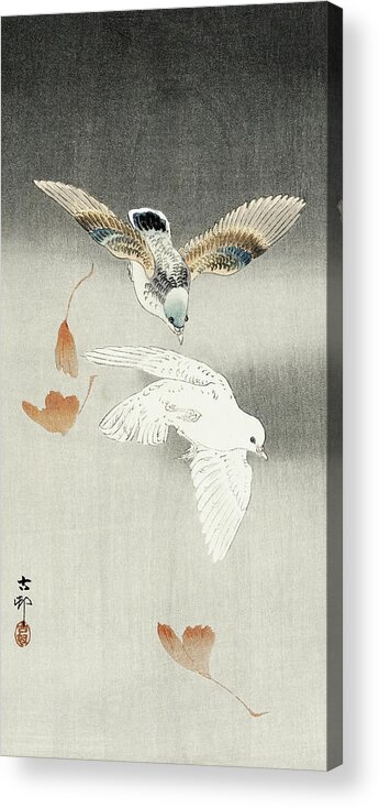 Birds Acrylic Print featuring the painting Two pigeons with falling ginkgo leaves by Ohara Koson