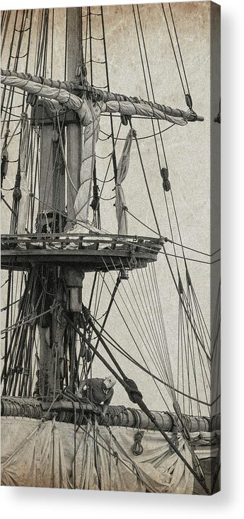Sailing Acrylic Print featuring the photograph Wisdom by John Linnemeyer