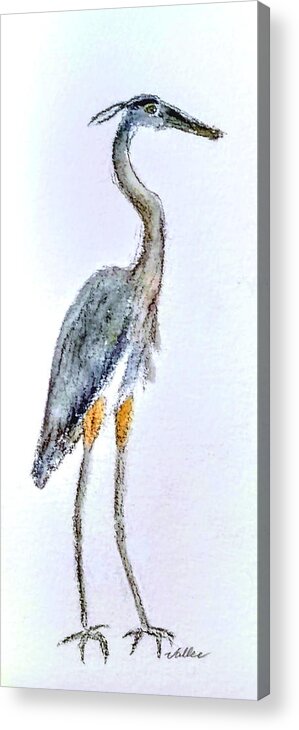 Wildlife Acrylic Print featuring the painting Great Blue by Vallee Johnson