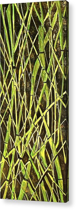 Bambo Garden Acrylic Print featuring the painting Bambo Garden by Shabnam Nassir