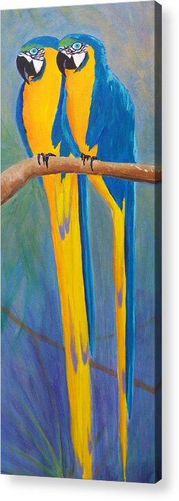 Macaw Acrylic Print featuring the painting Pair of Blue and Gold Macaws by Anne Marie Brown