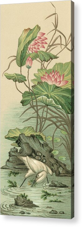 Botanical & Floral Acrylic Print featuring the painting Crane And Lotus Panel II #1 by Racinet