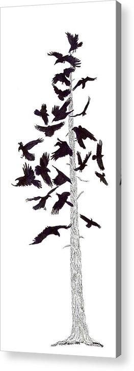 Raven Acrylic Print featuring the drawing The Raven Tree by Jenny Armitage