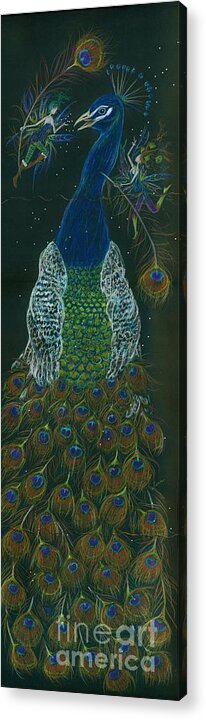 Peacock Acrylic Print featuring the drawing Peacock Dearest by Dawn Fairies