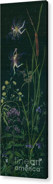 Cattails Acrylic Print featuring the drawing Ditchweed Fairy Cattails by Dawn Fairies