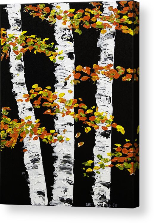 White Birch Trees In Fall on Black Background Painting Acrylic Print by  Keith Webber Jr - Fine Art America
