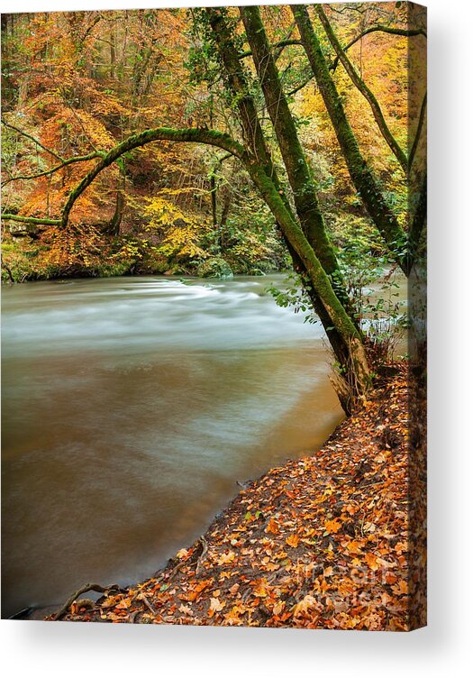 Autumn Acrylic Print featuring the photograph Irrel Falls #1 by Maciej Markiewicz
