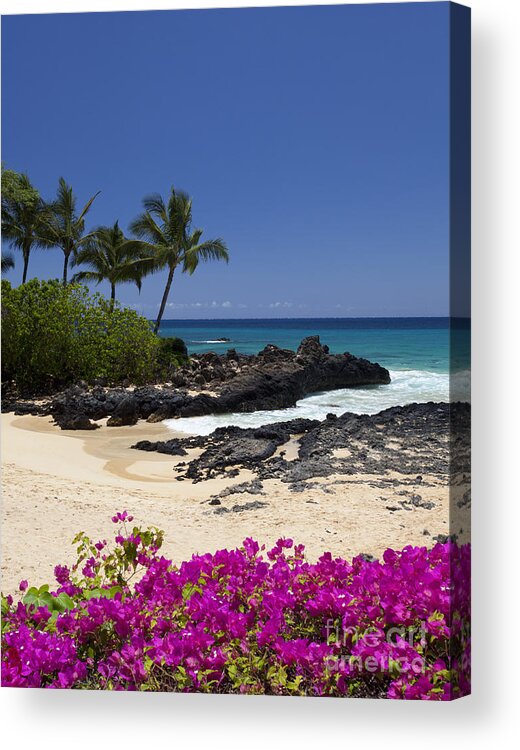 Flowers Acrylic Print featuring the photograph Makena Cove #1 by David Olsen