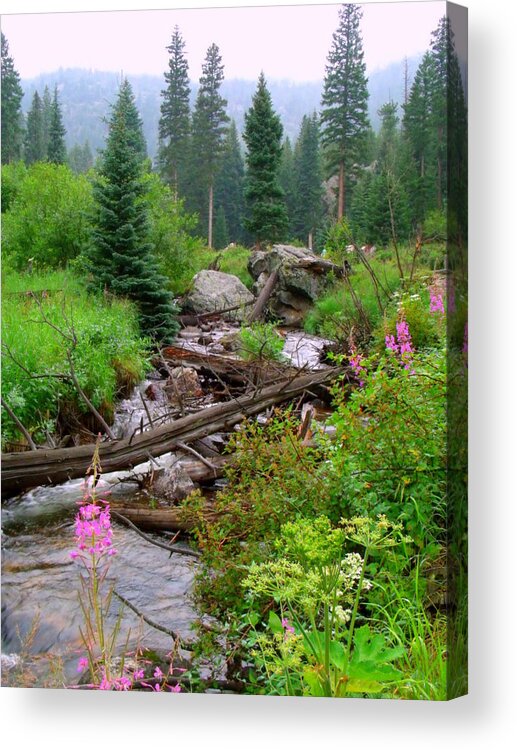 Colorado Acrylic Print featuring the photograph Misty Mountain #1 by Jessica Myscofski