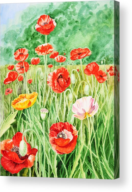 Poppies Acrylic Print featuring the painting Poppies by Irina Sztukowski
