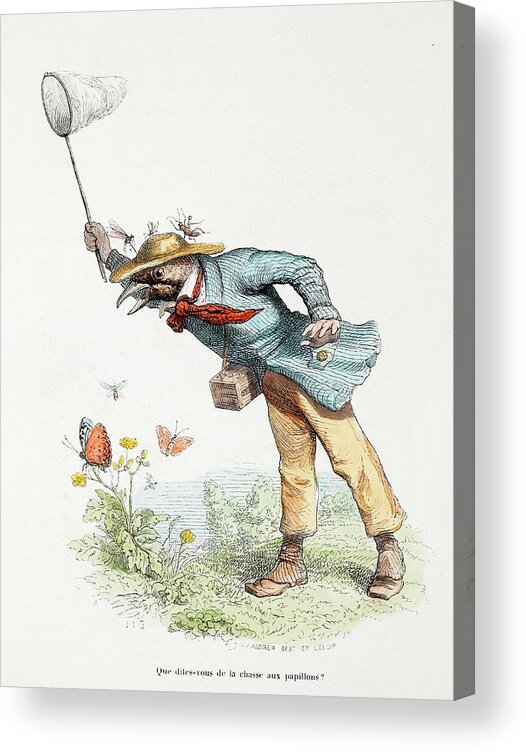 19th Century Acrylic Print featuring the photograph 1845 Victorian Butterfly Collector by Paul D Stewart