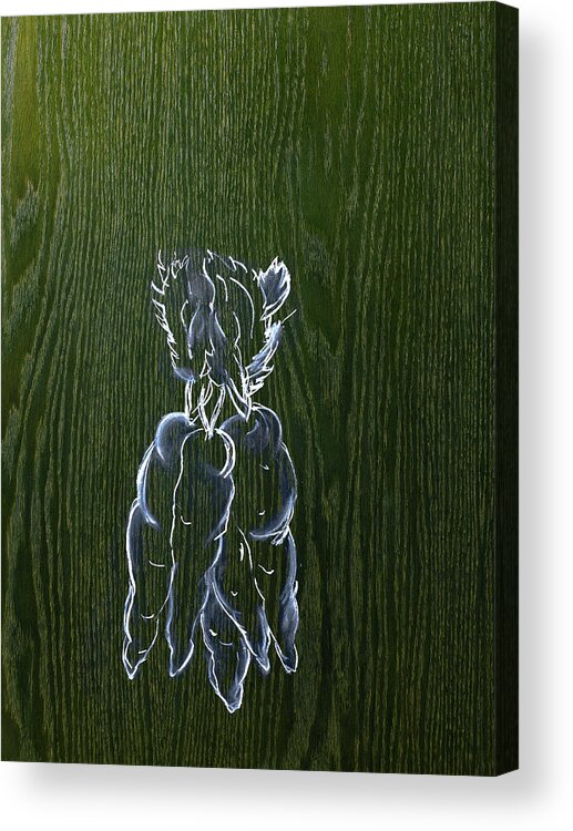 Material Acrylic Print featuring the photograph A Line Drawing Image On A Natural Wood #2 by Mint Images - David Arky