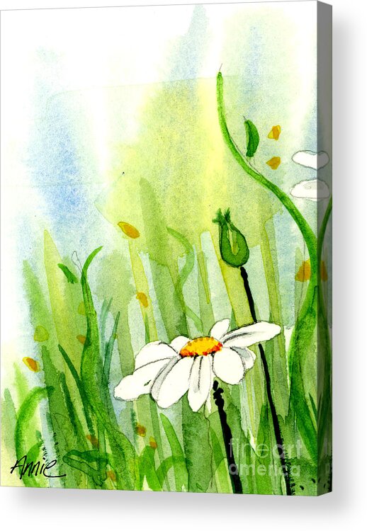 Watercolor Acrylic Print featuring the painting Daisy Field 1 of 2 #2 by Annie Troe