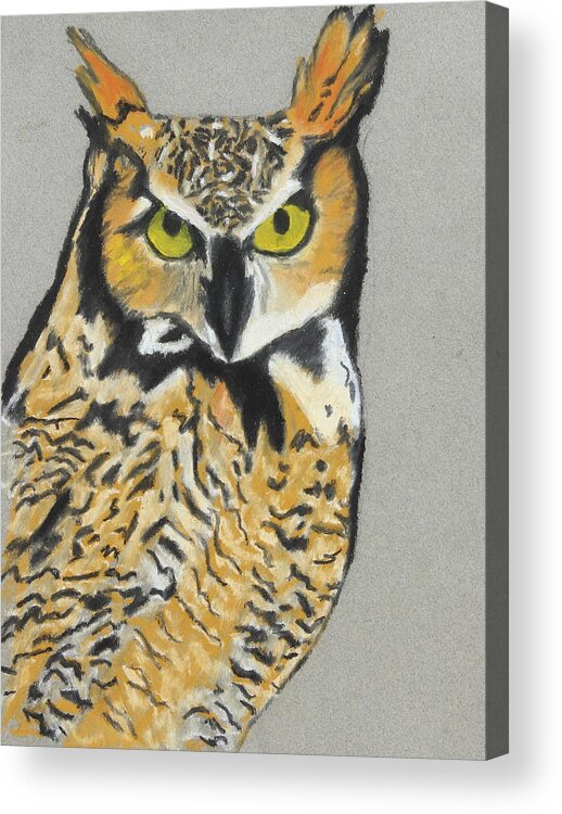 Owl Acrylic Print featuring the painting Night Owl by Jeanne Fischer