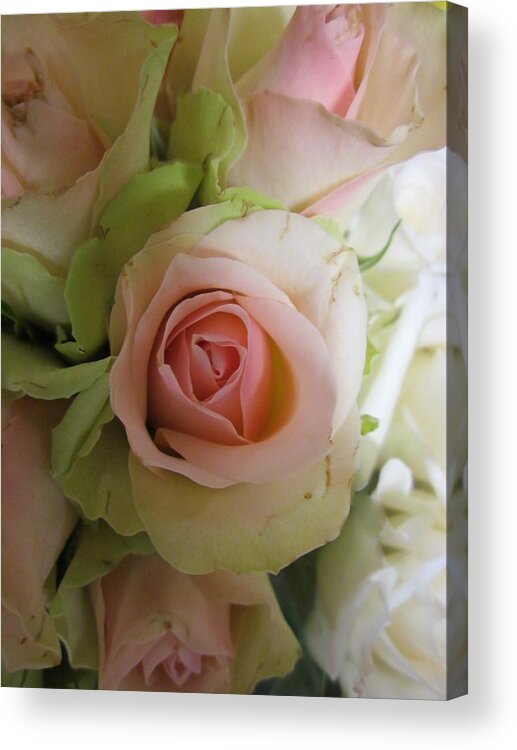Flowerromance Acrylic Print featuring the photograph Romance by Rosita Larsson