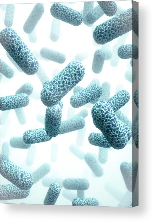 Bacilli Acrylic Print featuring the photograph E. Coli Bacteria #20 by Maurizio De Angelis