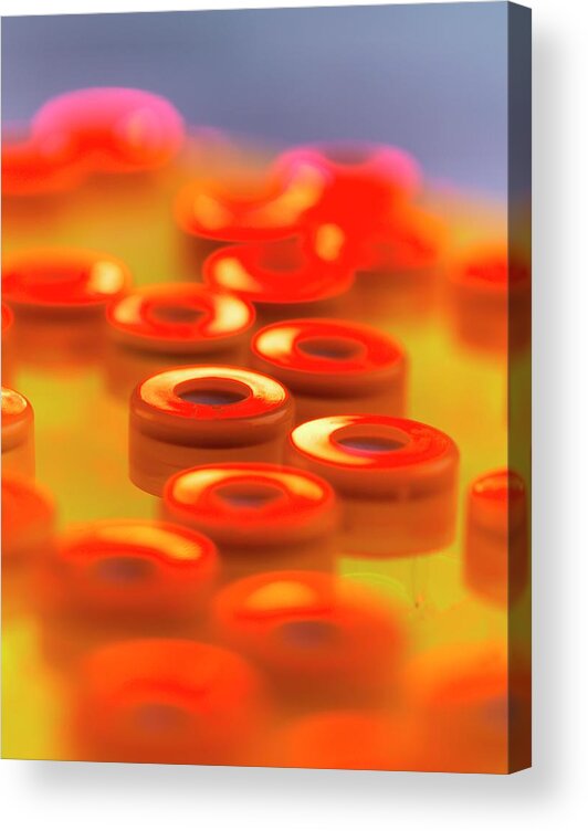 Adipocyte Acrylic Print featuring the photograph Dna Testing #3 by Tek Image/science Photo Library