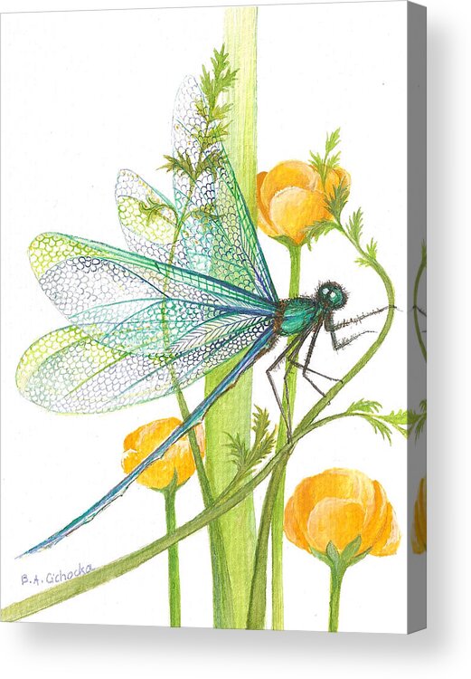 Dragonfly Acrylic Print featuring the painting Sheer Wings / sold by Barbara Anna Cichocka