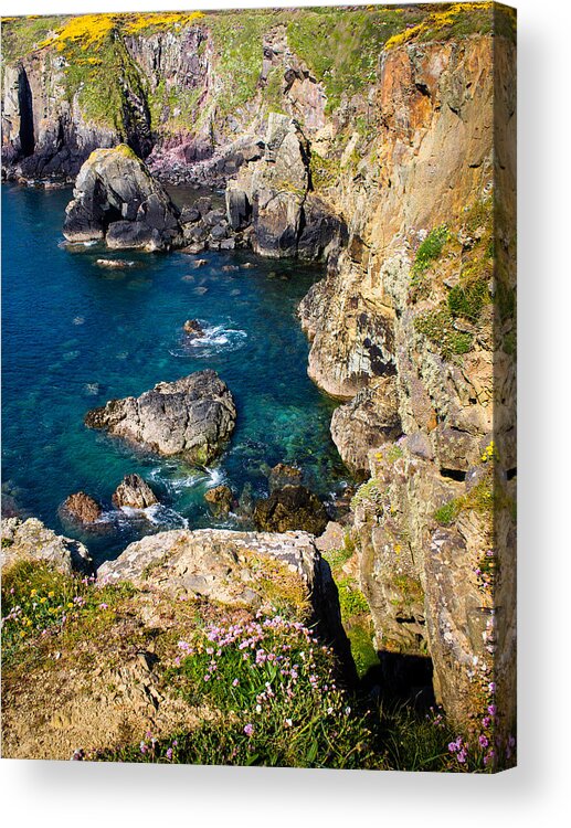 Armeria Maritima Acrylic Print featuring the photograph St Non's Bay Pembrokeshire by Mark Llewellyn