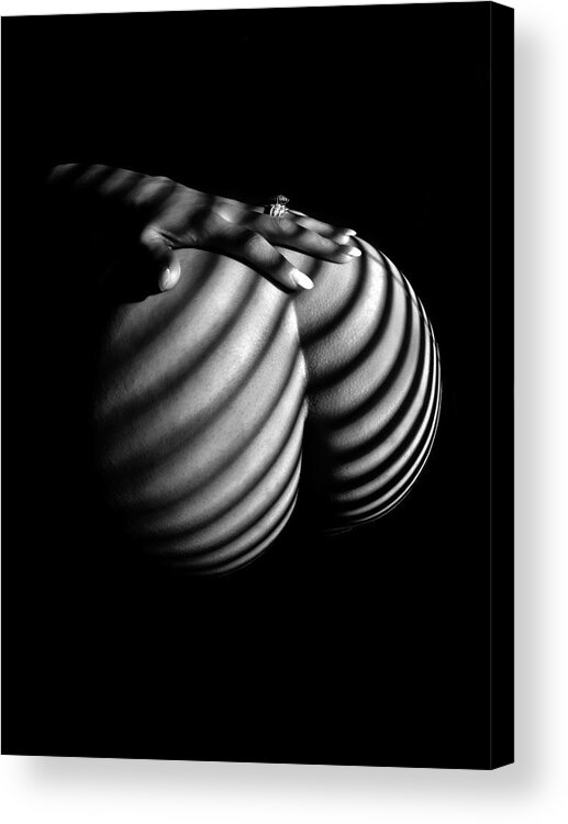 Window Blinds Acrylic Print featuring the photograph 6747 Zebra Woman Nude Stripe Series  by Chris Maher