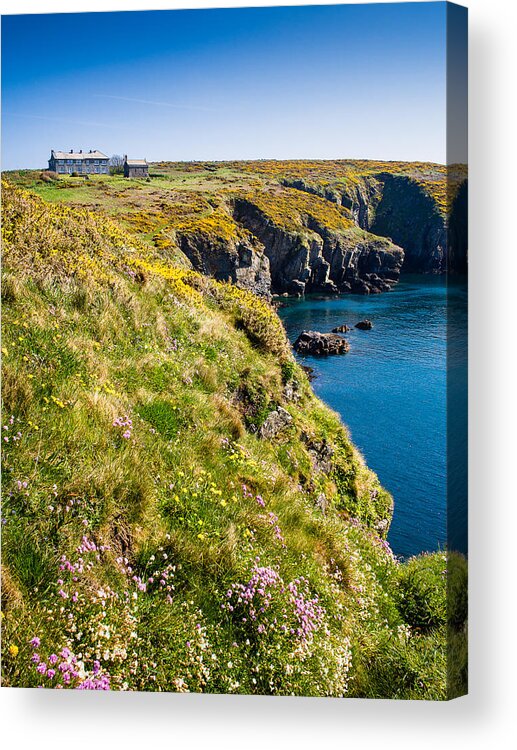Armeria Maritima Acrylic Print featuring the photograph St Non's Bay Pembrokeshire #8 by Mark Llewellyn