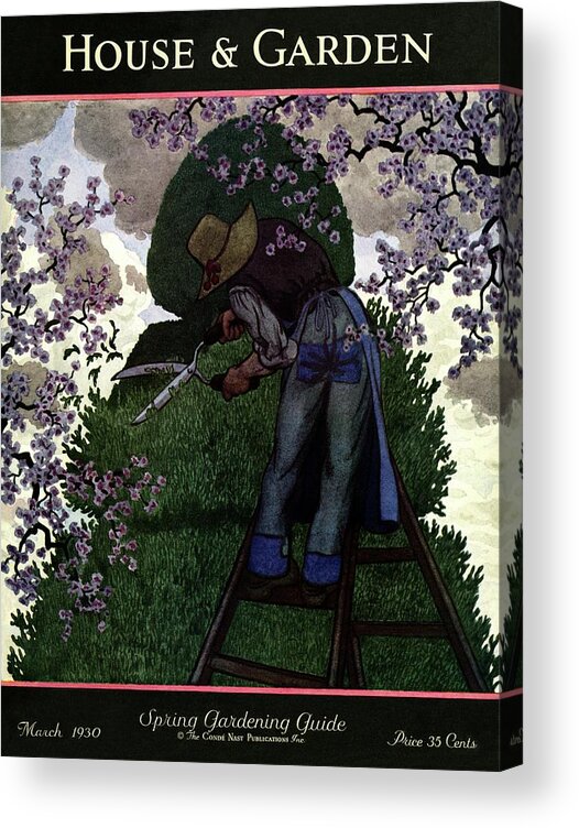 House And Garden Acrylic Print featuring the photograph A Gardener Pruning A Tree by Pierre Brissaud