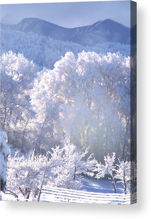 Snowy Landscape Acrylic Print featuring the photograph A Study in Frosty Hues Of Winter Whites and Blues by Anastasia Savage Ealy