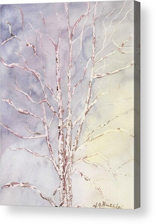 Birch Acrylic Print featuring the painting A Tree in Winter by Vickie G Buccini