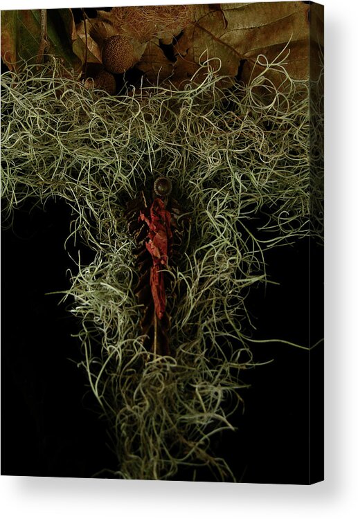 Photography Acrylic Print featuring the photograph Abstract Christmas Manger by Julianne Felton
