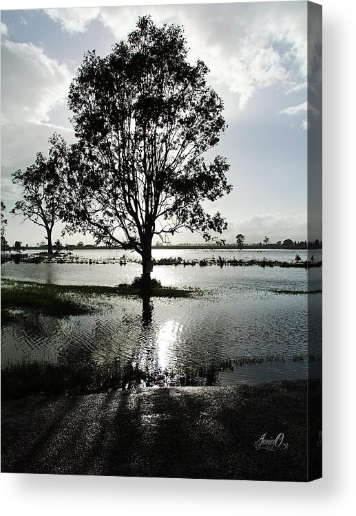 2011 Acrylic Print featuring the digital art After the Rain by Janice OConnor