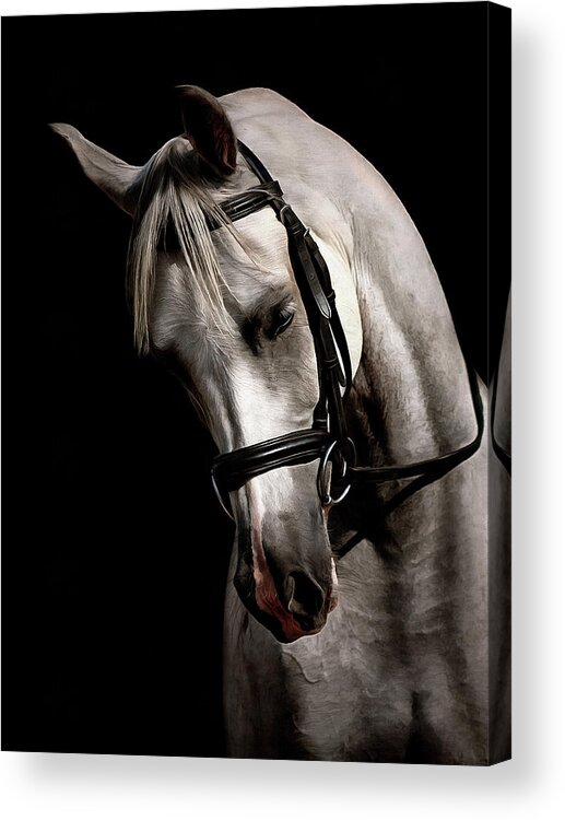 Ain't Miss Beehavin Acrylic Print featuring the photograph Ain't Miss Beehavin by CarolLMiller Photography