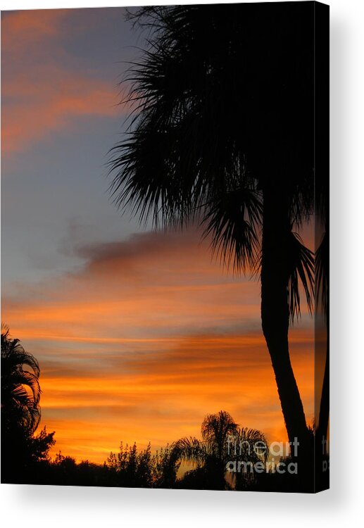 Sunrise Acrylic Print featuring the photograph Amazing Sunrise in Florida by Oksana Semenchenko