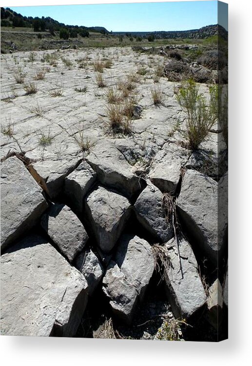 Picket Wire Acrylic Print featuring the photograph Ancient Lakefront by Carlee Ojeda