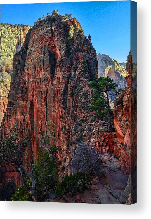 Zion Acrylic Print featuring the photograph Angel's Landing by Chad Dutson