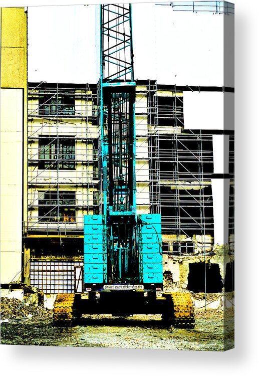 Crane Acrylic Print featuring the photograph Another Blue Crane by Steve Taylor