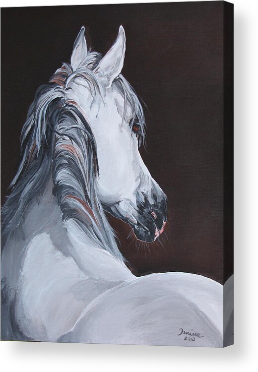 Horse Original Painting Acrylic Print featuring the painting Ansata El Naseri by Janina Suuronen