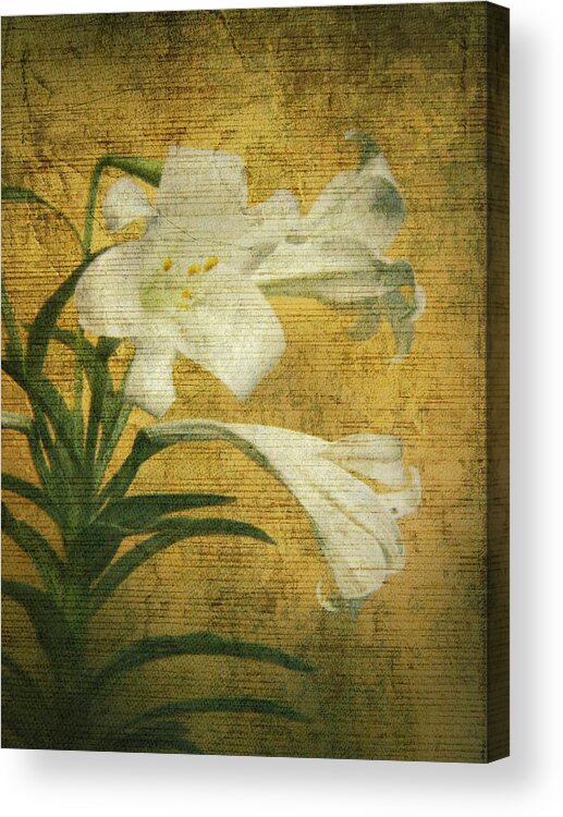 Antique Easter Lily - Maria Holmes Acrylic Print featuring the photograph Antique Easter Lily by Maria Holmes