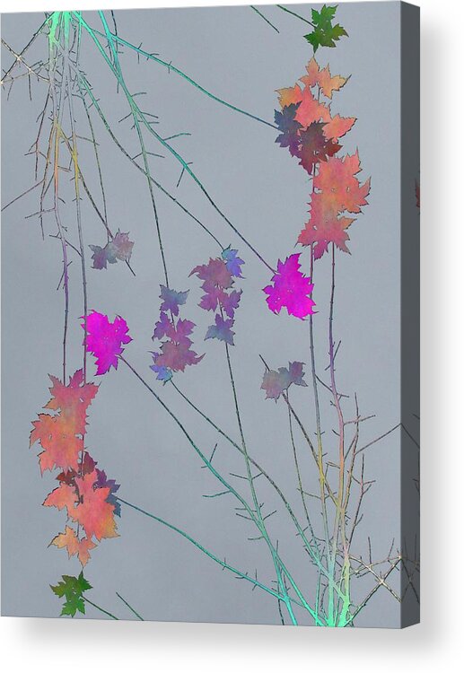 Tree Acrylic Print featuring the digital art Arbor Autumn Harmony 1 by Tim Allen